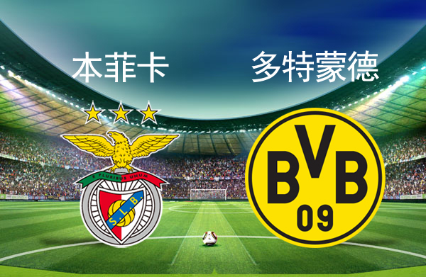 天博平台官网关于关键时刻多伦多猛龙调整名单以备欧冠本菲卡防线松动备战CBA季后赛，深圳男篮赛后强势反弹看傻球迷的信息
